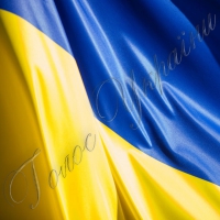 Спільна заява Президента України, Прем’єр-міністра України та Голови Верховної Ради України