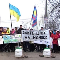 Молочний Майдан: перемога чи обман