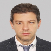 Сергія Алєксєєва обрано  головою міжпарламентської  групи дружби Україна—Італія