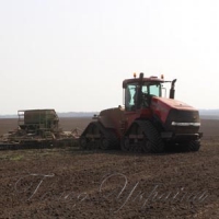 Посівна запізнилася на місяць. Але значних втрат урожаю не прогнозують