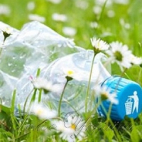 Як «заробити» на пластикових пляшках мільйон і великі неприємності