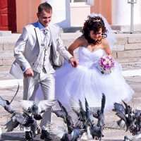 Свадьба и голуби!..