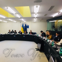 Парламентський вимір асоціації Україна— Європейський Союз