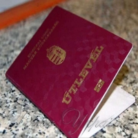 Роздача угорських паспортів  на Закарпатті —  «червона лінія»  для Києва