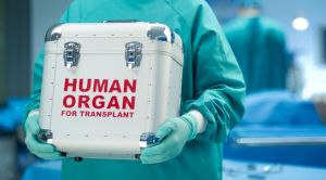 Про внесення змін до деяких законодавчих актів України щодо застосування трансплантації анатомічних матеріалів людині