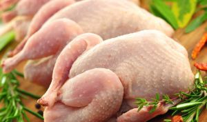 103 600 т м’яса птиці на суму 146,9 млн $ експортовано з України