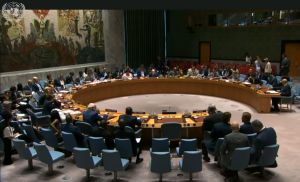 The language law in UN Security Council: what they spoke about