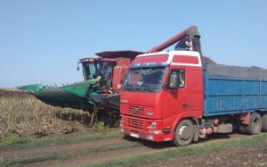 В Донецкой области завершился сбор ранних зерновых