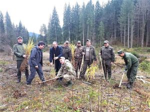В Івано-Франківській області ліс заклали атовці