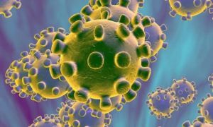 Поки що в Німеччині ніхто не знає, як убезпечитися від коронавірусу