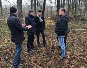 Іспанці стануть на зачистку лісових ділянок у Житомирській області