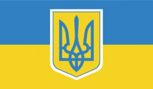 Про внесення змін до деяких законів України щодо створення національного органу інтелектуальної власності