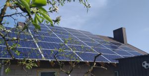 Майже 450 домогосподарств Рівненщини встановили сонячні панелі для власних потреб