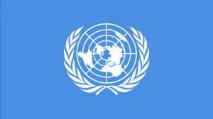 В ООН привітали рішення припинити вогонь