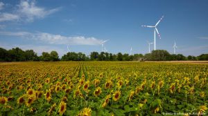 «Зелена» енергетика перемагає у Німеччині