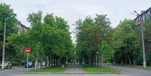 Замість вулиці Саратовської — бульвар Павла Вірського