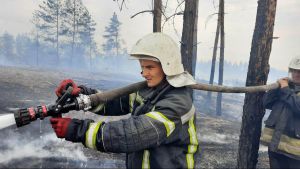Луганщина: Ліквідовано основні осередки вогню
