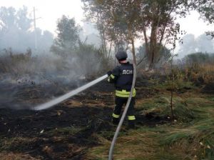 Шукатимуть винних у пожежах, які спалахнули на Луганщині
