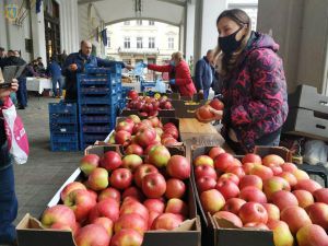 Львівщина: У палаці мистецтв провели День яблук