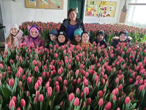 На Житомирщині ліцеїсти створили тюльпановий рай