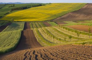 Залишити НААН без земель, необхідних для наукової роботи в умовах зростаючої конкуренції на ринках сільгосппродукції – неприпустимо