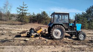 Полтавщина: Лісокультурну кампанію розпочинали з сосни