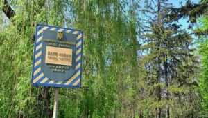 Киев: Вернули землю в парке «Нивки»