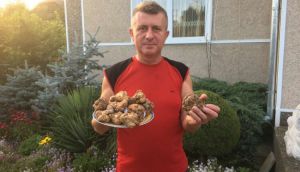 Буковина: Фермер вирощує дорогі гриби —  білі трюфелі
