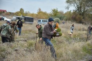 Луганщина: Миссия — озеленение рекреационных участков