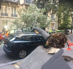 Франція: «Аврора» зупинила потяги й повалила дерева