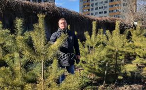 Киев: Деревья раздадут бесплатно