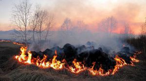 Україна у вогні. Не паліть країну! – закликає Державна екологічна інспекція України