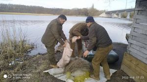 На території Ладижинського водосховища, фахівцями Державної екологічної інспекції Вінницькій області виявлені заборонені знаряддя лову