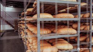 Німеччина: Загроза залишитися без хліба