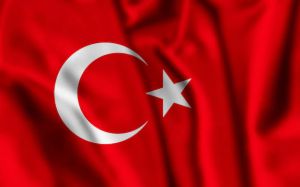 Туреччина продовжить докладати всіх зусиль для зниження напруженості в Чорноморському регіоні