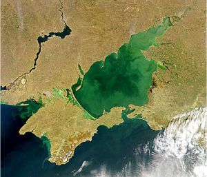 Підтверджень забруднення Азовського моря не виявлено