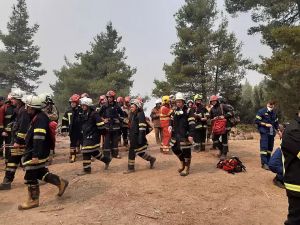 У Греції створюють групи швидкого реагування на можливі лісові пожежі