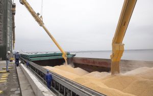 За першу половину вересня з України експортовано 3,9 млн тонн агропродукції