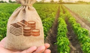 Аграріям виплатять понад 30 мільйонів від держави