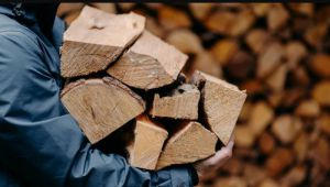 Безоплатні дрова  не для всіх,  по пенсію...  в супермаркет