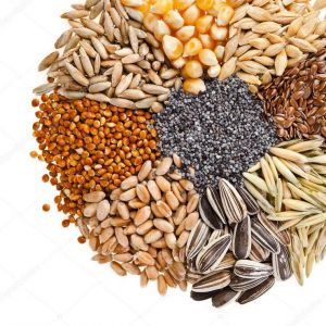 Домовилися щодо пшениці, кукурудзи, ріпаку та соняшнику