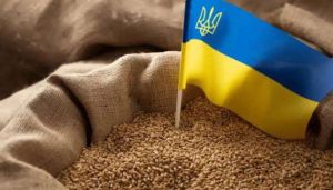 В Україні зібрано 57,6 млн тонн нового врожаю