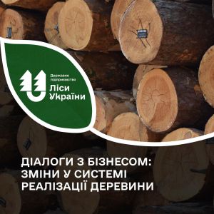 Систему реалізації деревини в Україні буде змінено