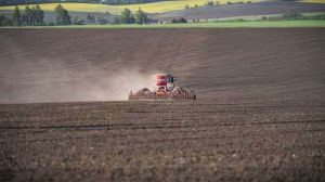 В Україні засіяно вже понад 2 мільйони гектарів ярих зернових і зернобобових, —  Комітет з питань аграрної та земельної політики