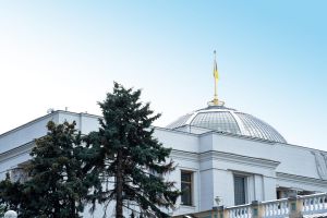 Верховна Рада України прийняла за основу законопроект про лісові репродуктивні ресурси