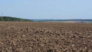 У Державному аграрному реєстрі розпочинається прийом заяв від фермерів на отримання земельної дотації