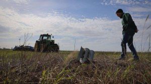 Цього року в Україні розмінували 108 тисяч гектарів сільськогосподарських земель