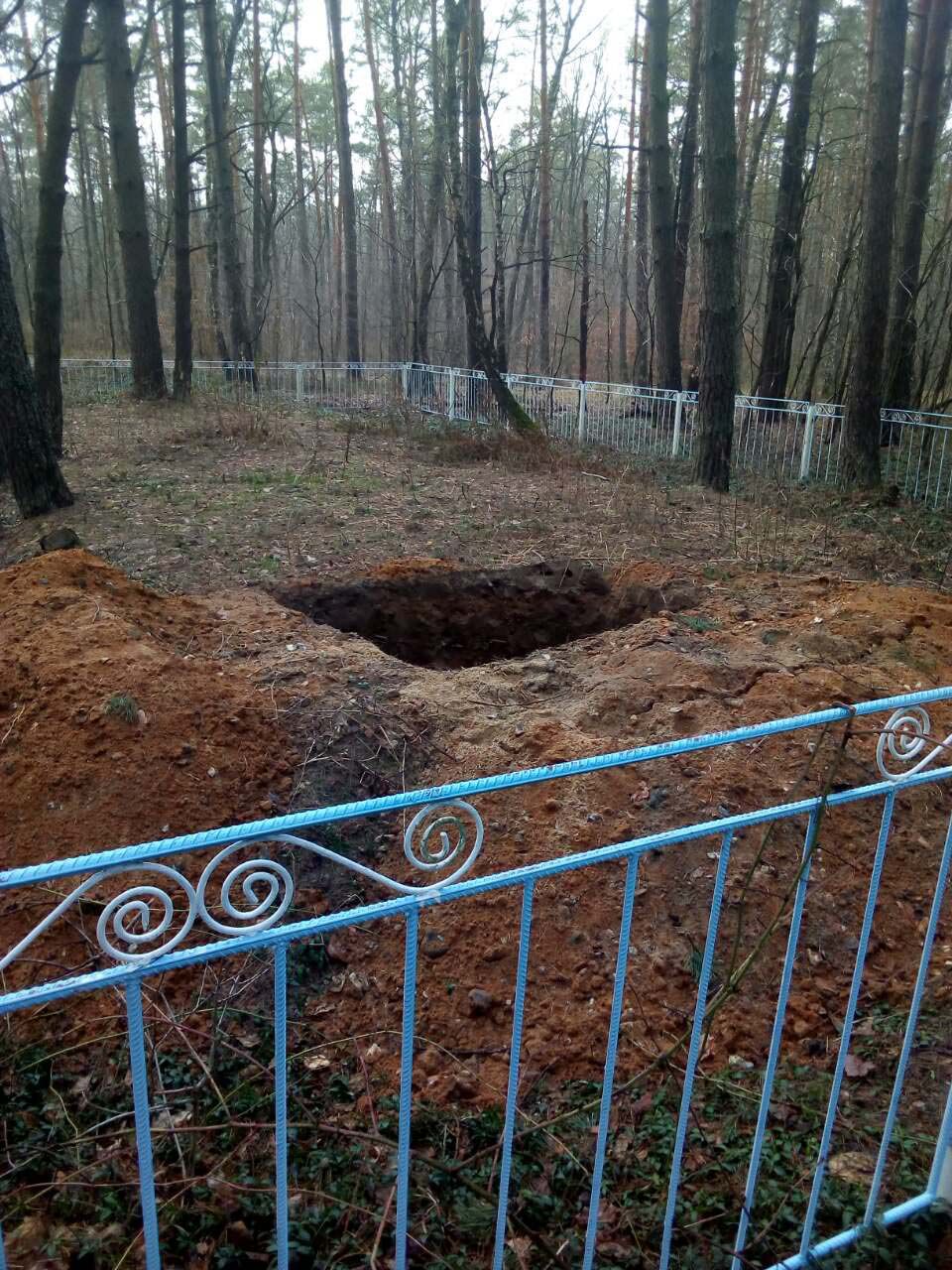 Відчуваючи безкарність, «чорні археологи» вже розкопують могили на Баховій горі