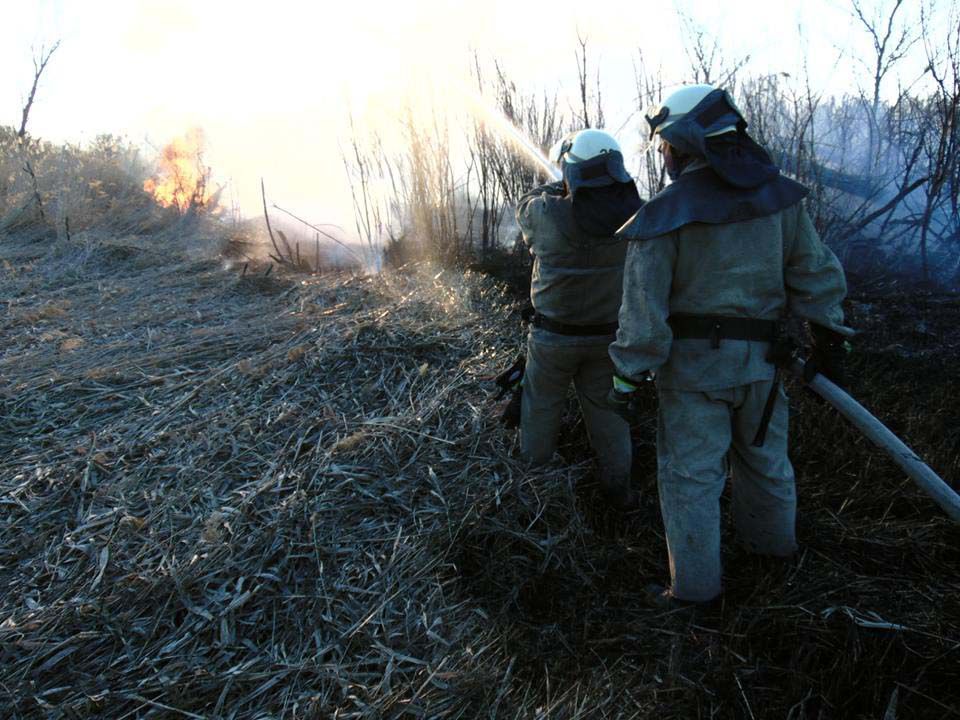 У вогнеборців «жнива»: горить суха трава