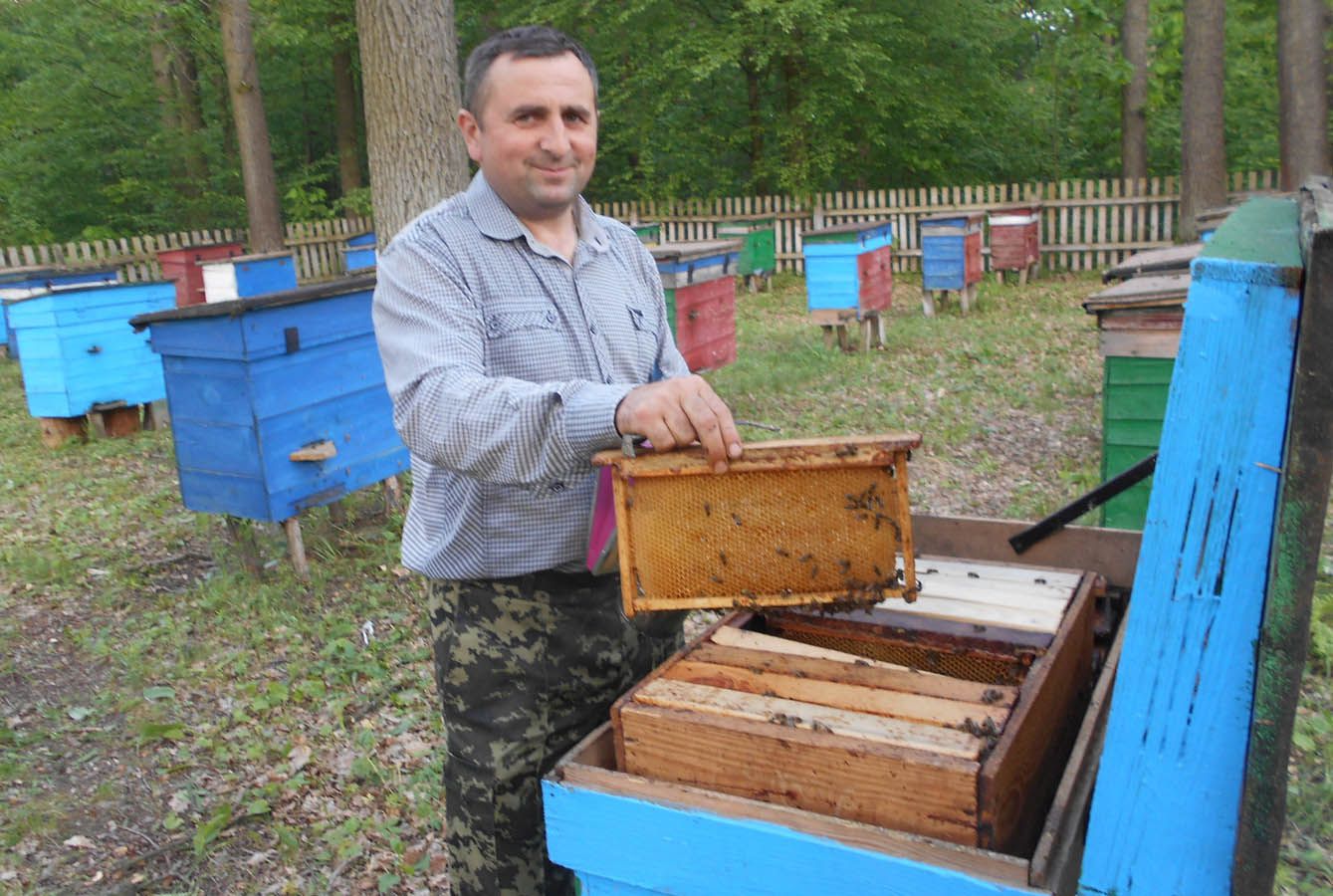 Бджільництво на Волині має тисячолітню історію